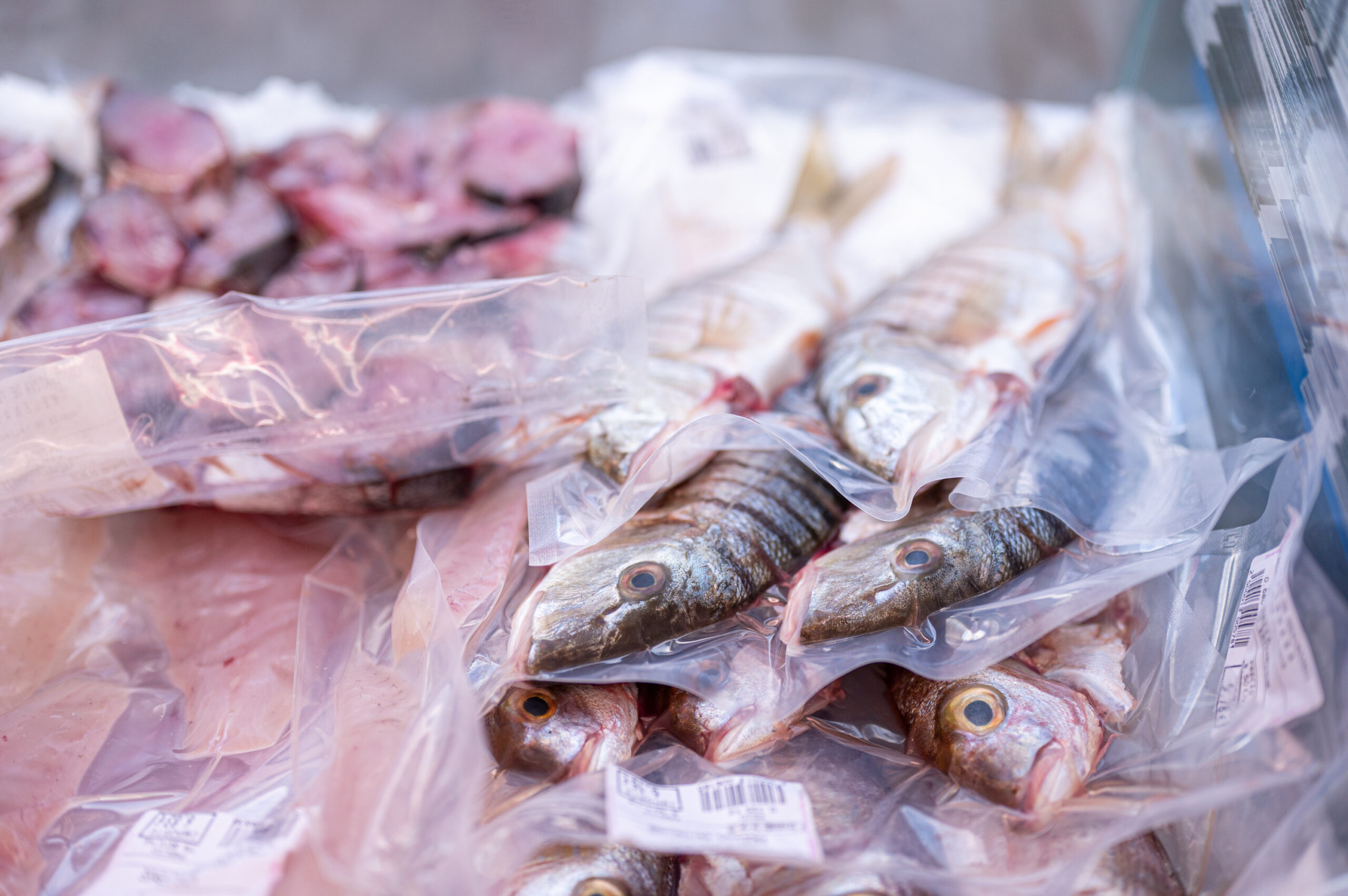 COOPERATIVA DE PESCADORES DE MELENARA