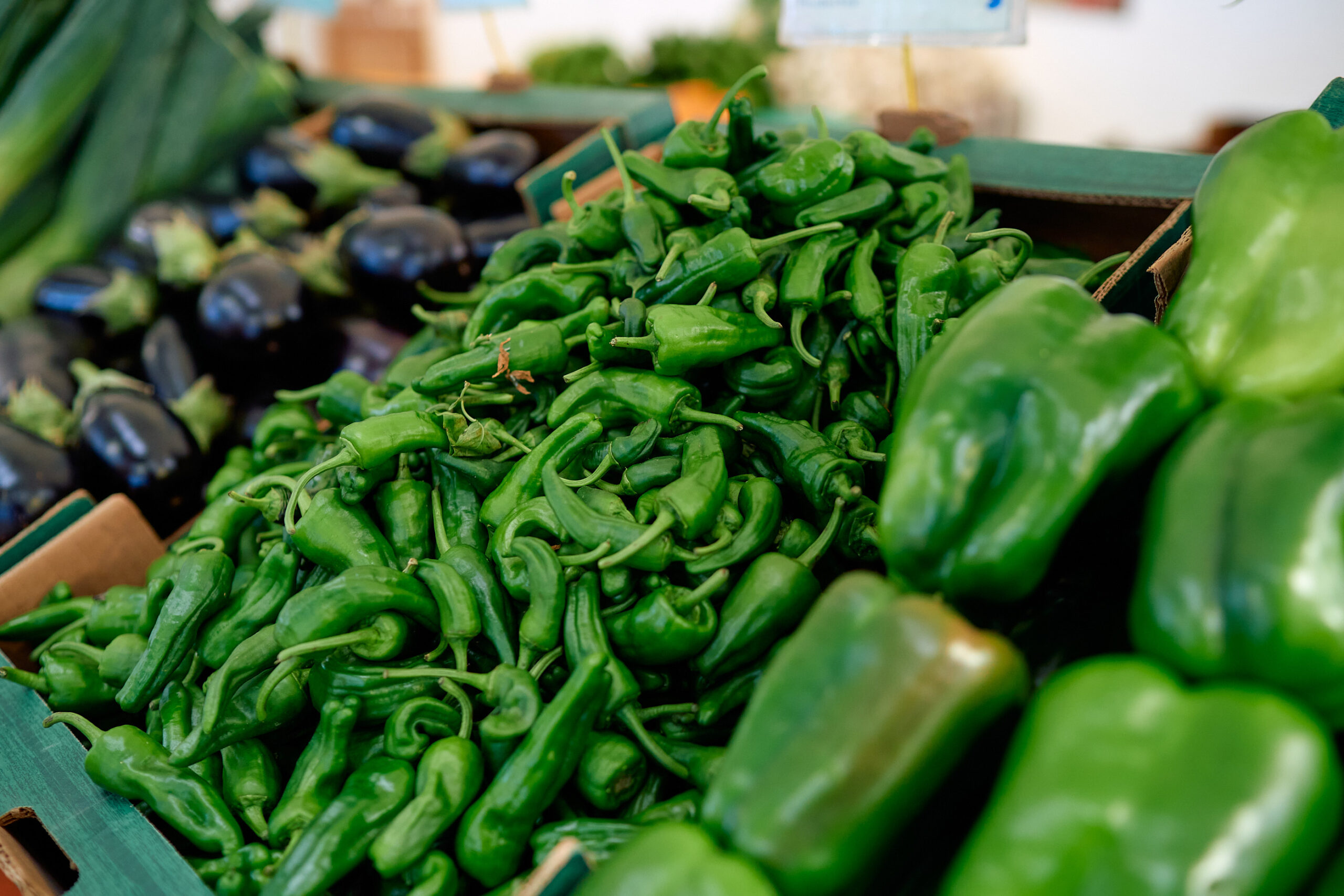 HORTALIZAS NAVARRO BENITEZ