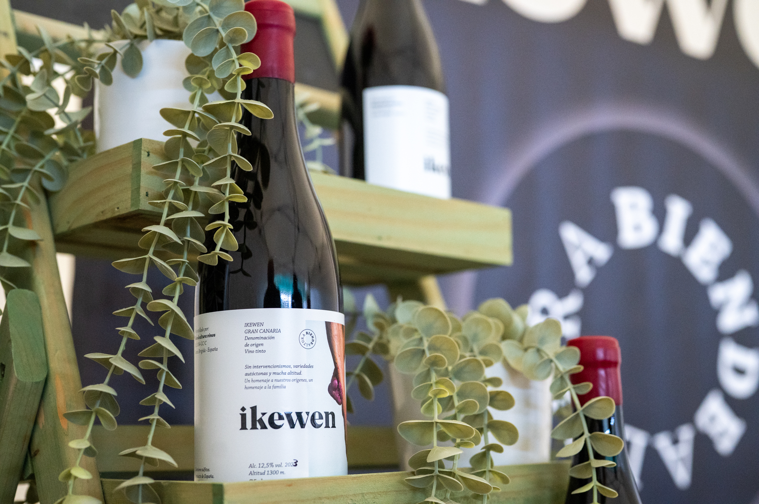 BIEN DE ALTURA VINOS